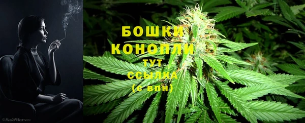 дживик Волосово